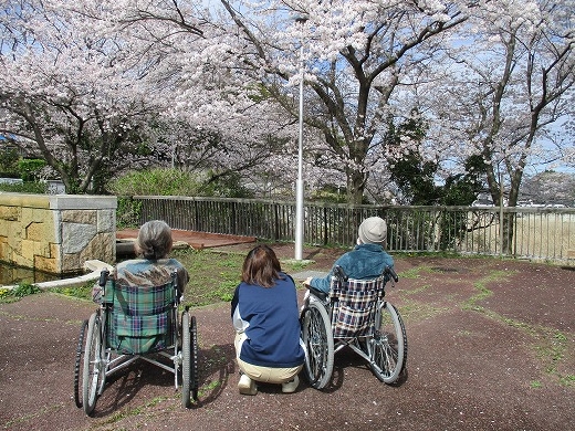 お花見